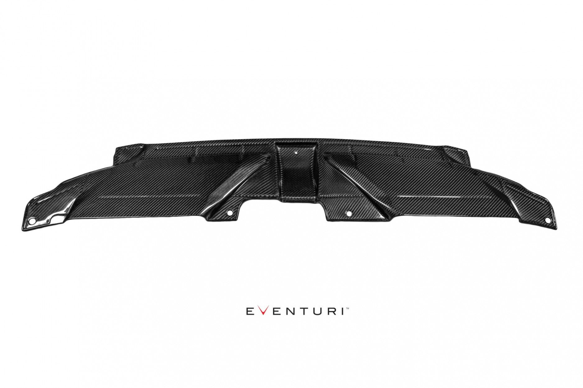 Eventuri Motorabdeckung Audi B8 RS5